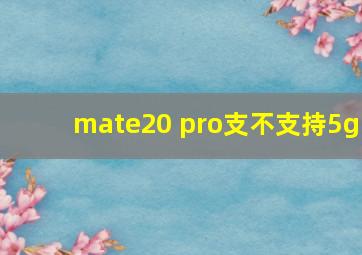 mate20 pro支不支持5g